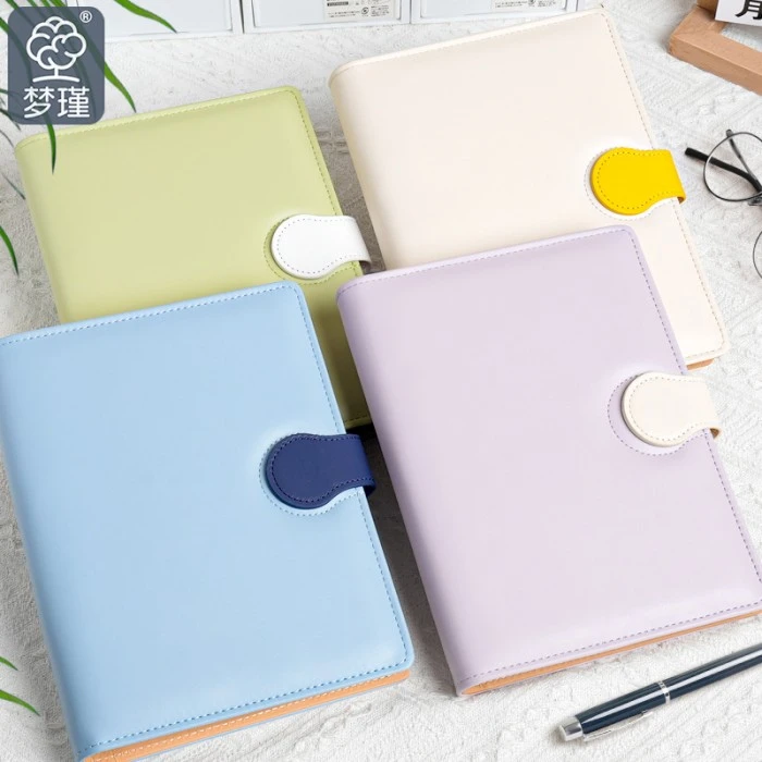 Conjunto de planificador de diario de hojas sueltas
